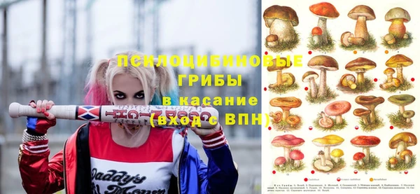 мяу мяу мука Балахна
